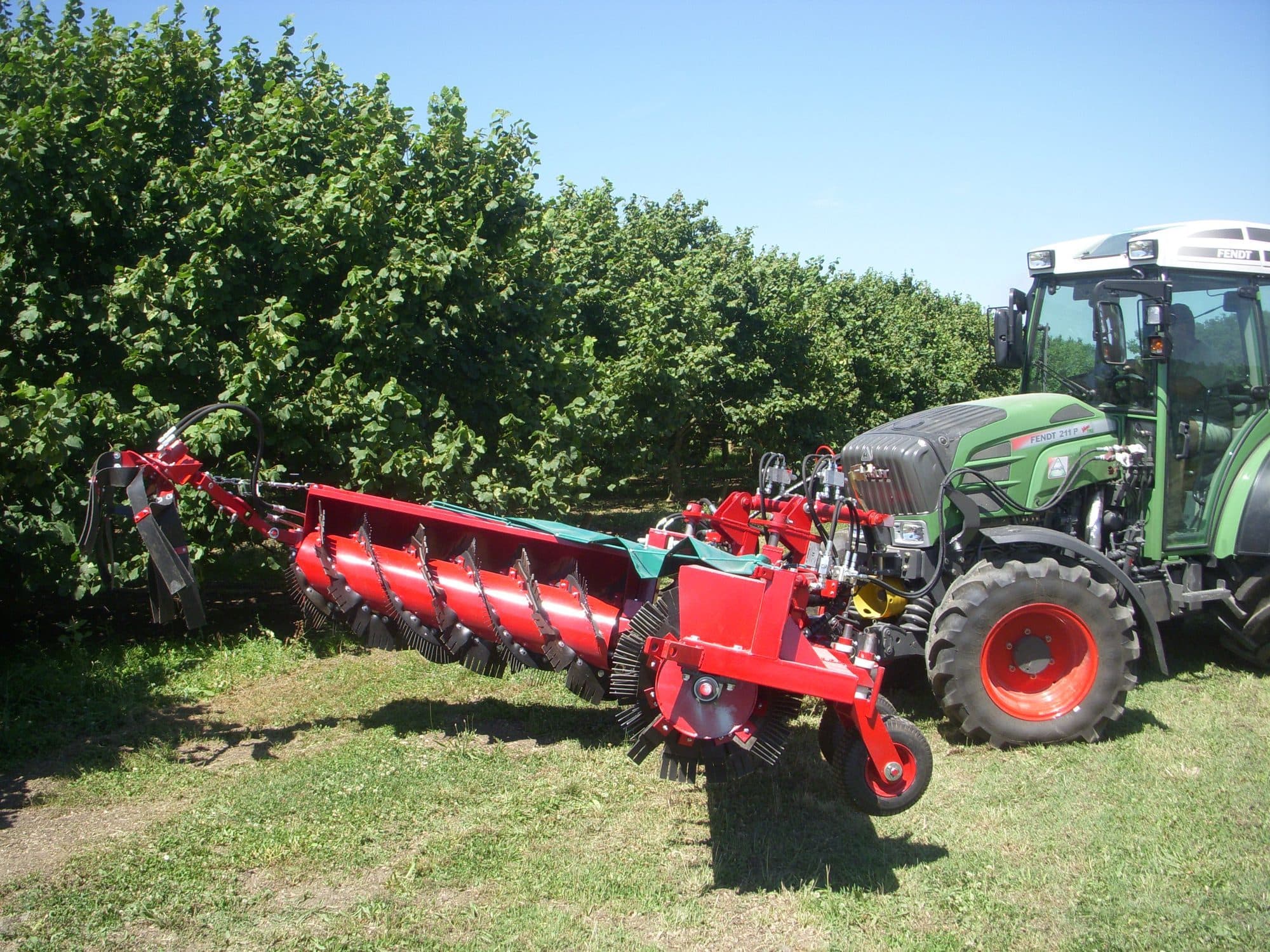 Andaineur frontal en noisetteraie